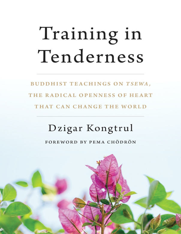 (image for) Training in Tenderness (Tsewa) by Dzigar Kongtrul (PDF)